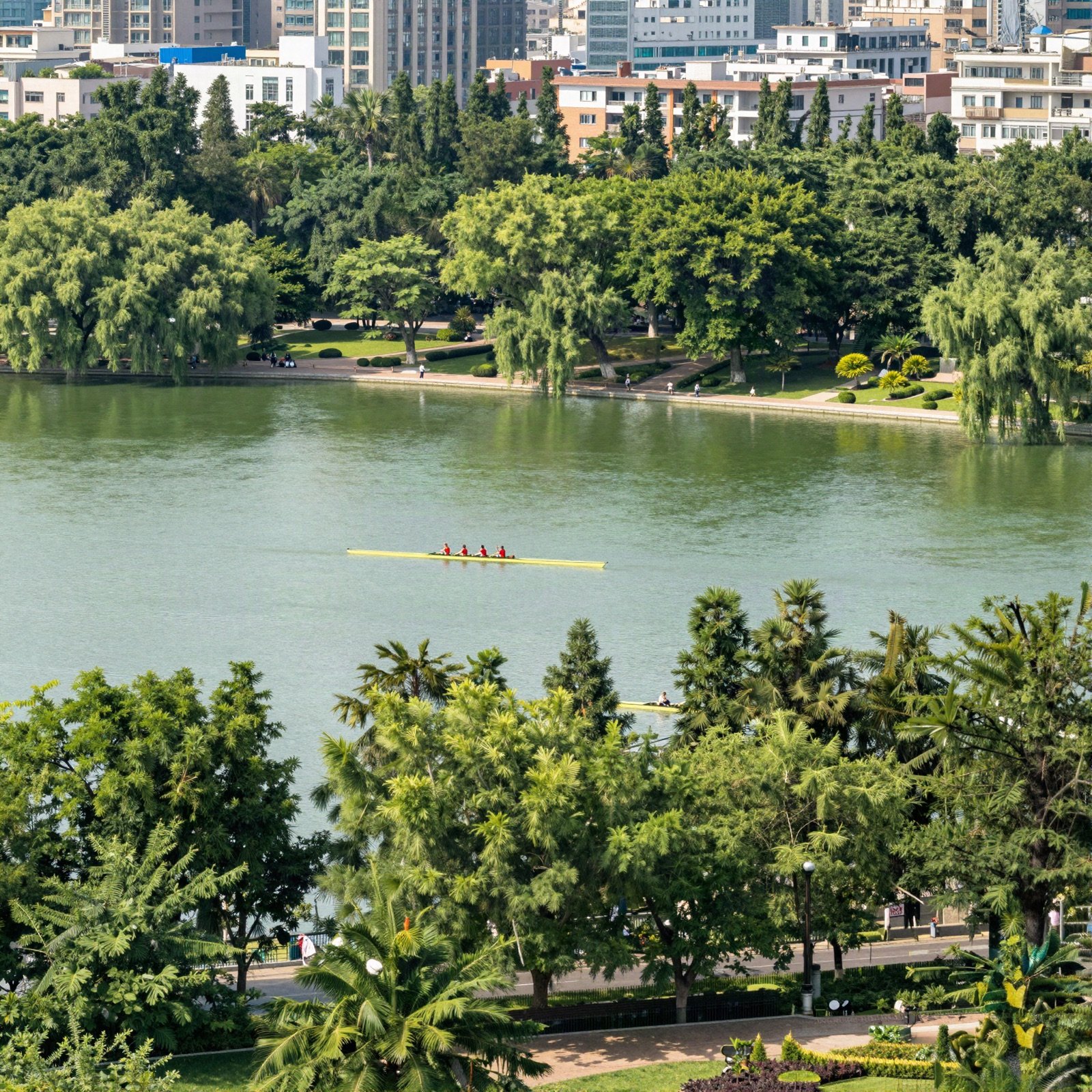 A green city park with a calm lake and a rowing crew on the water