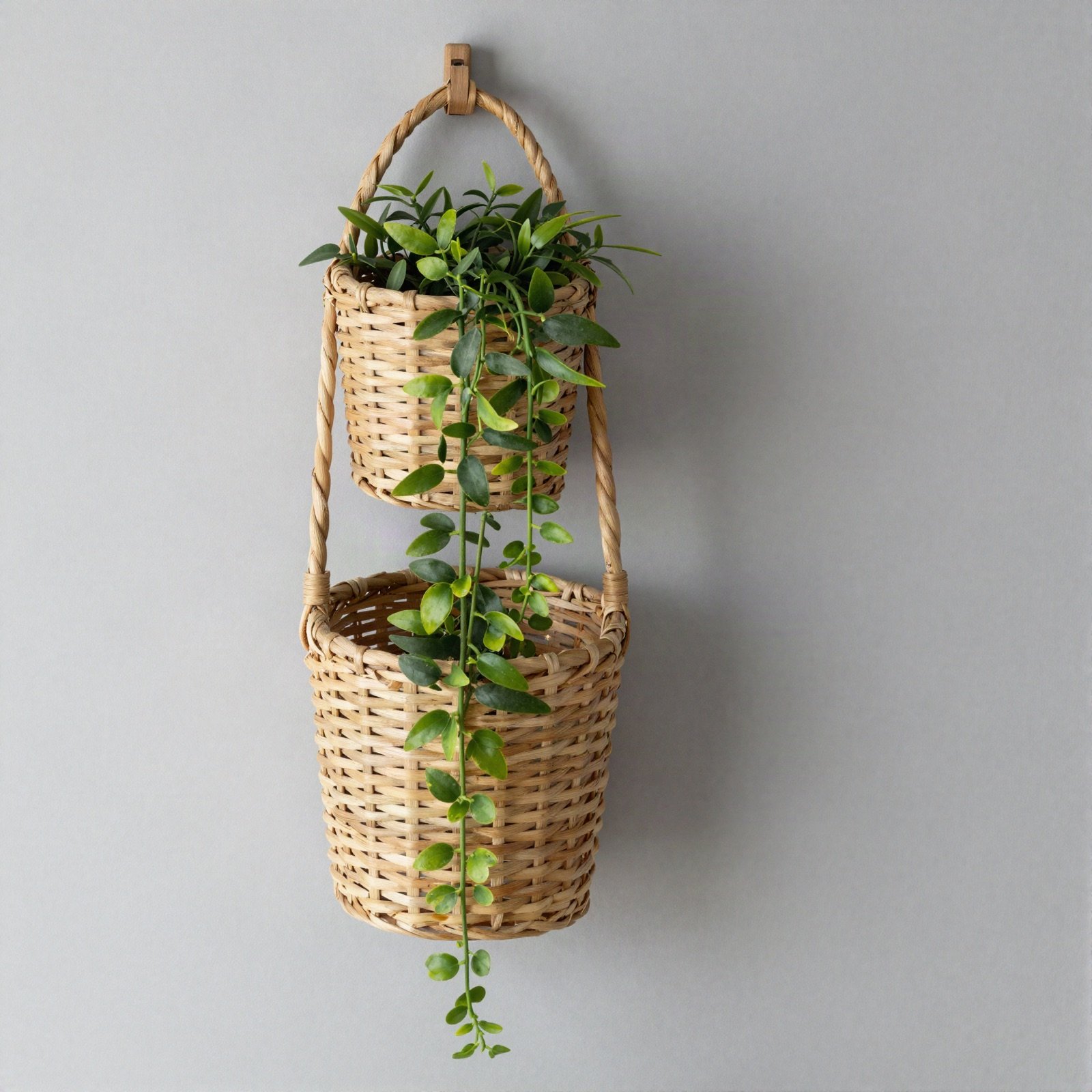 Rattan wall basket with a trailing green plant