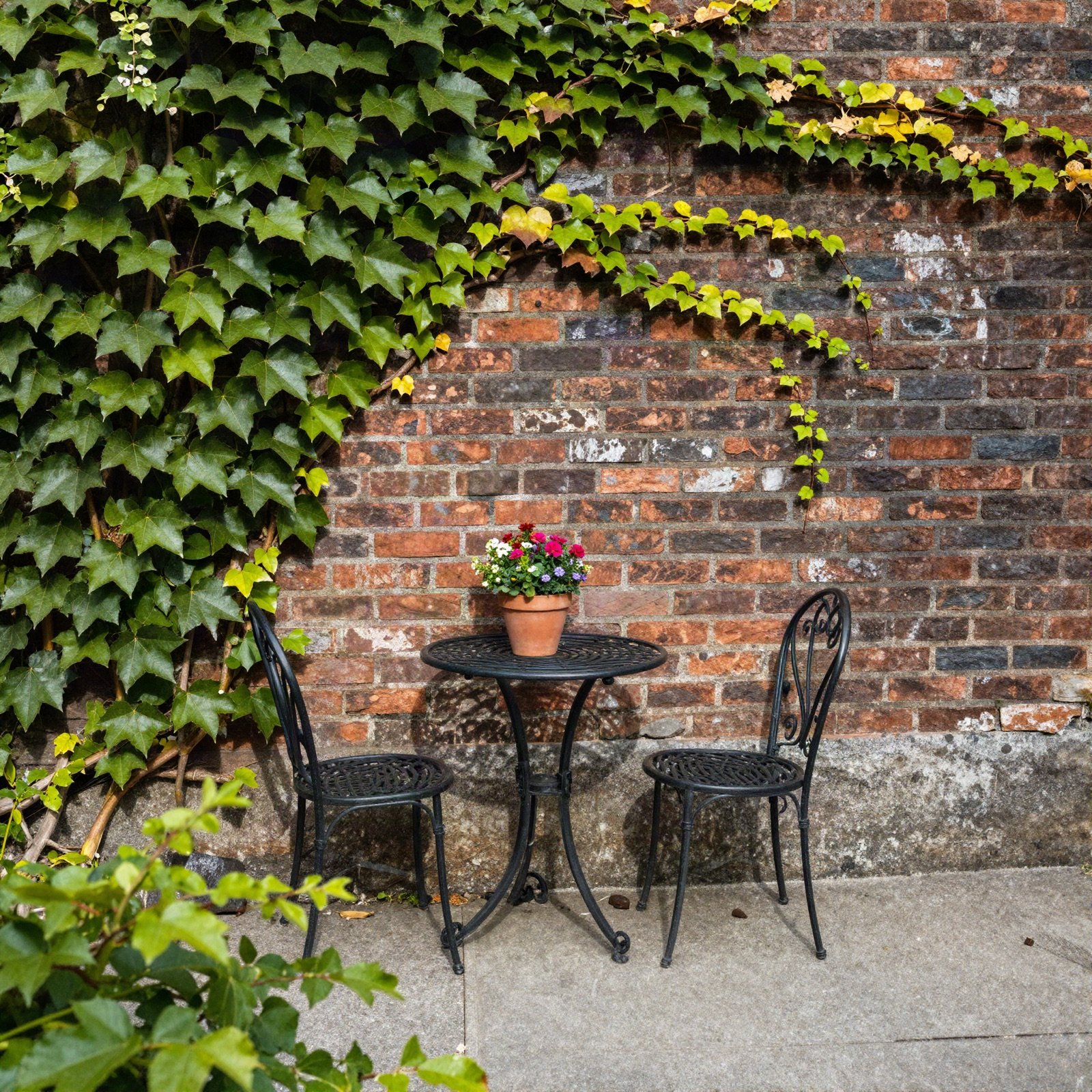 Wrought iron bistro set under ivy in the courtyard