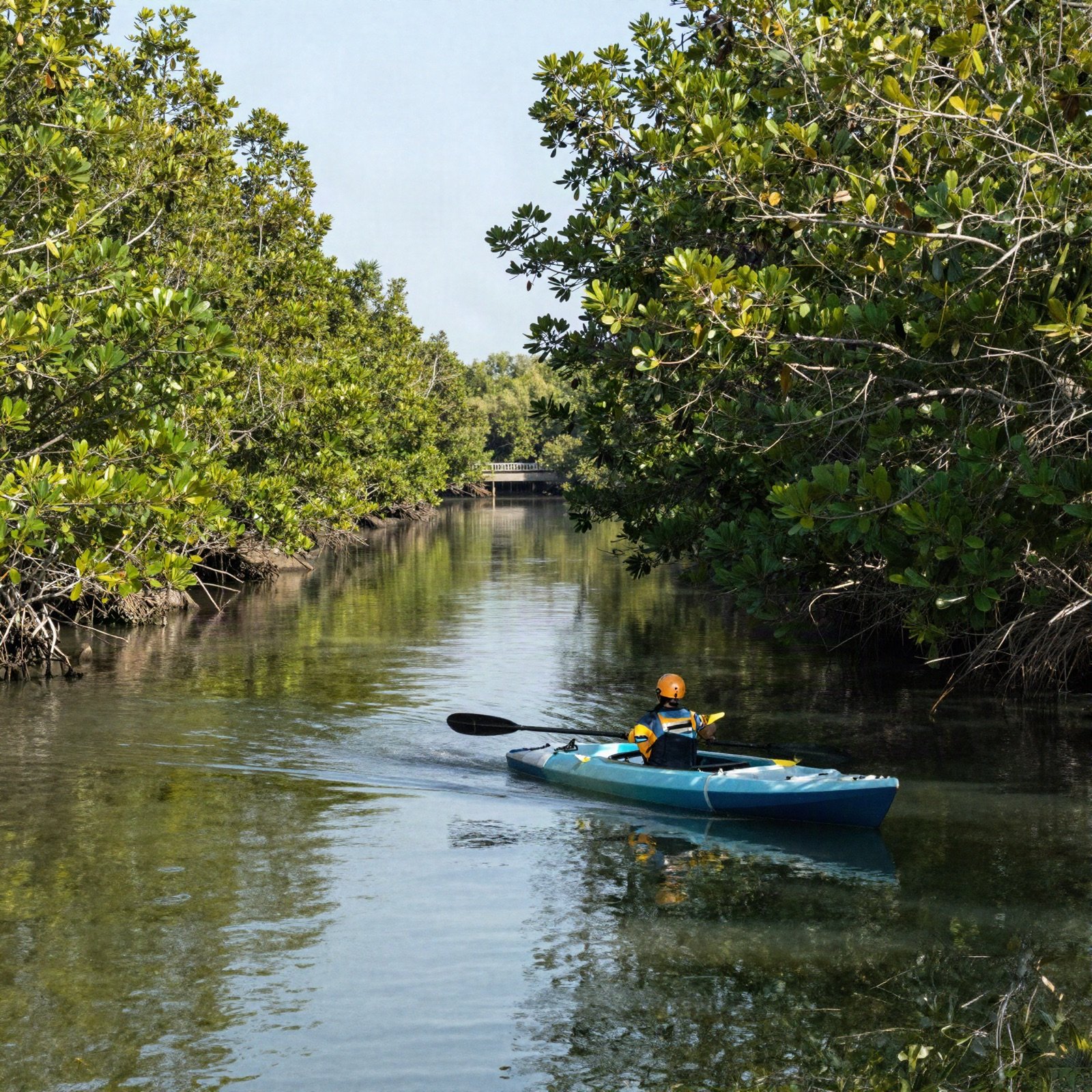 Kayaker paddling through a calm mangrove channel