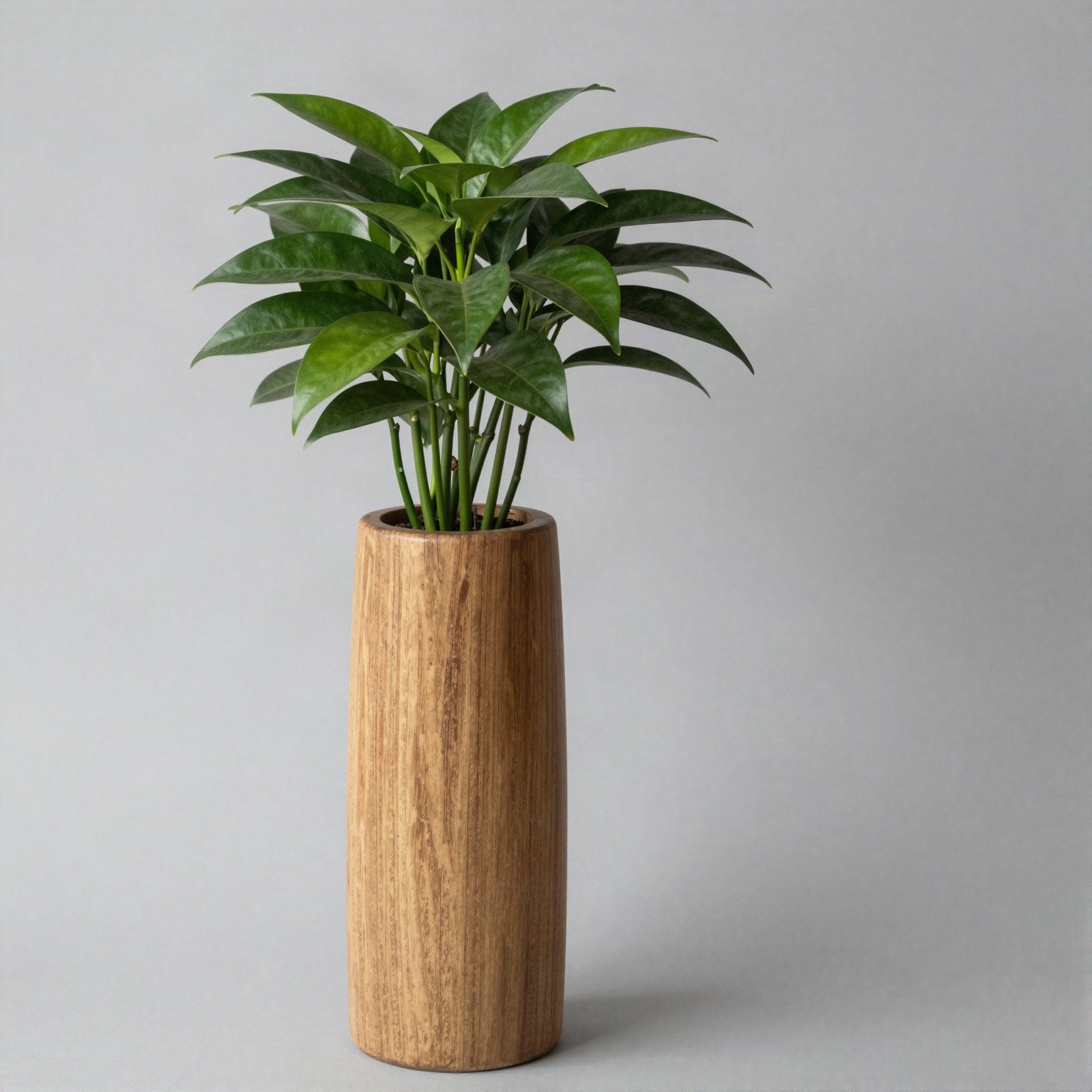 A green plant in a tall turned wooden vase