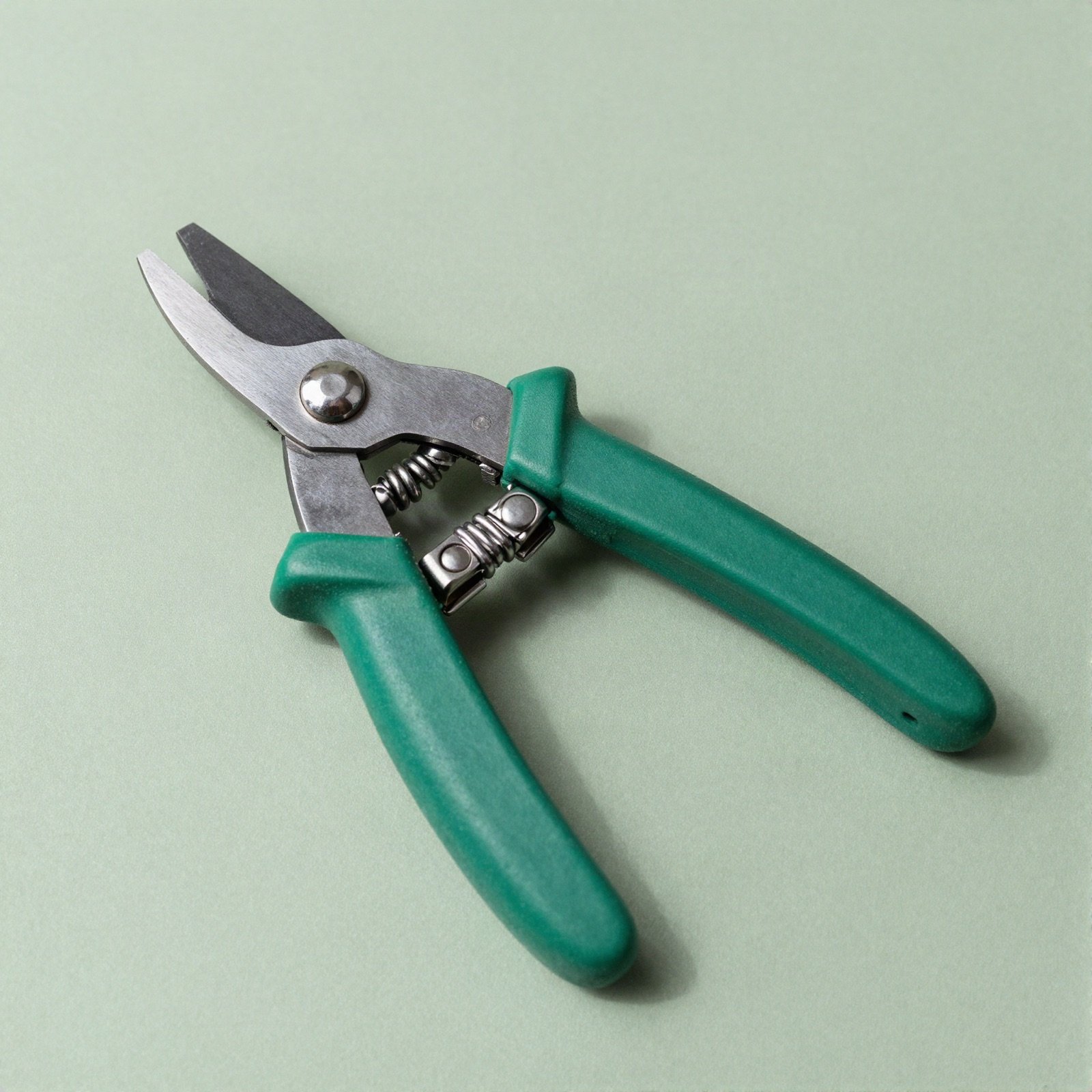 Bypass pruning secateurs with green handles