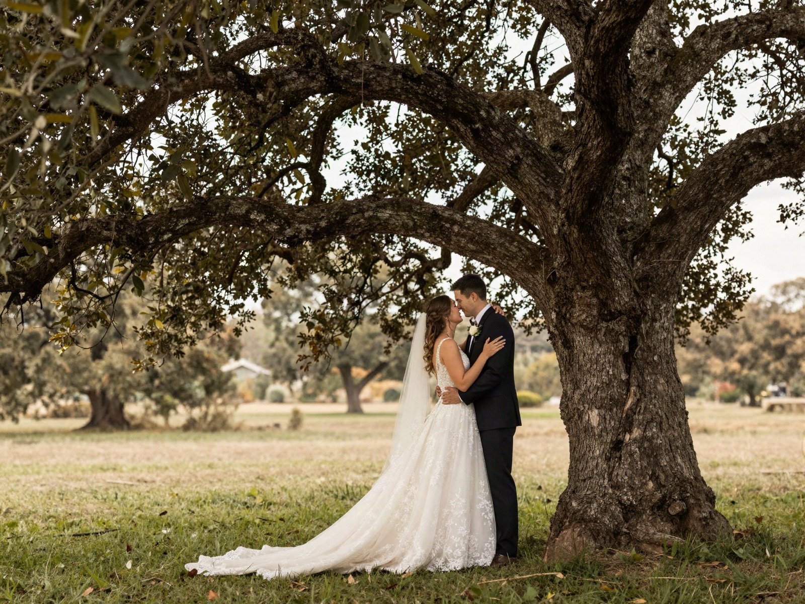 A bride and groom embracing under an old oak tree at golden hour