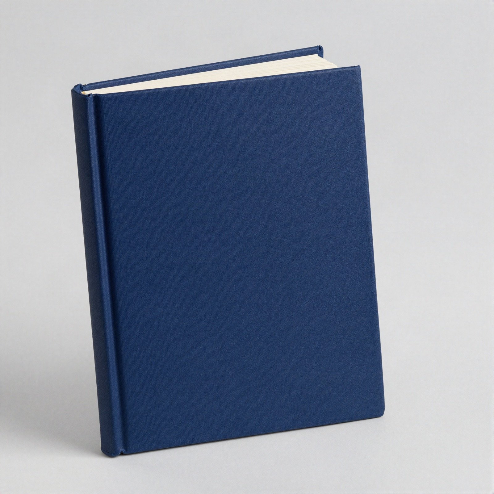 A navy blue hardcover book standing on a light grey background