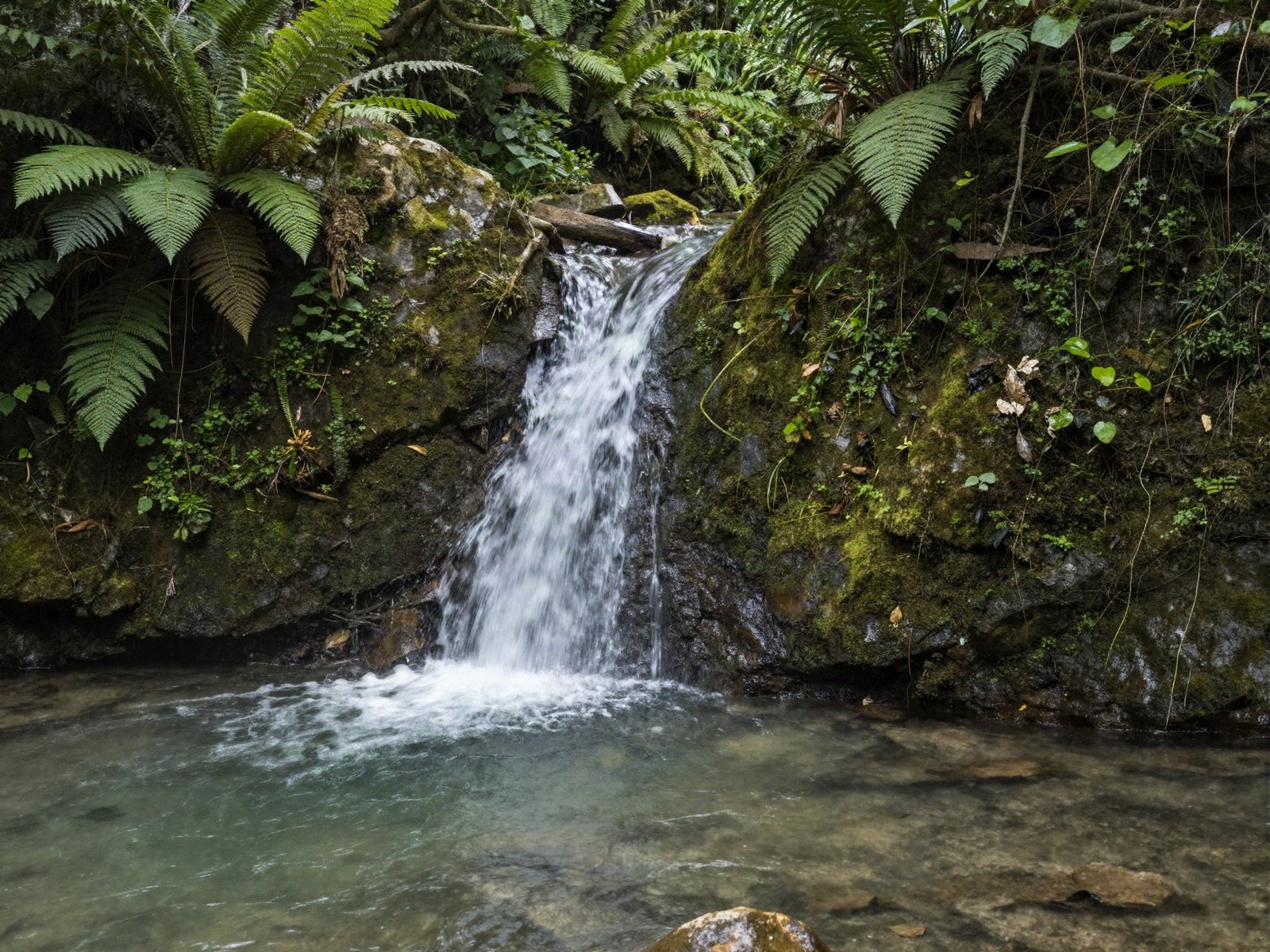 A small waterfall over mossy rocks in the forest