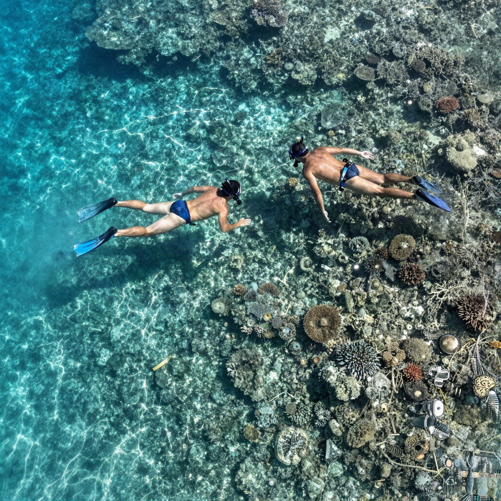 Two snorkelers swimming over a coral reef